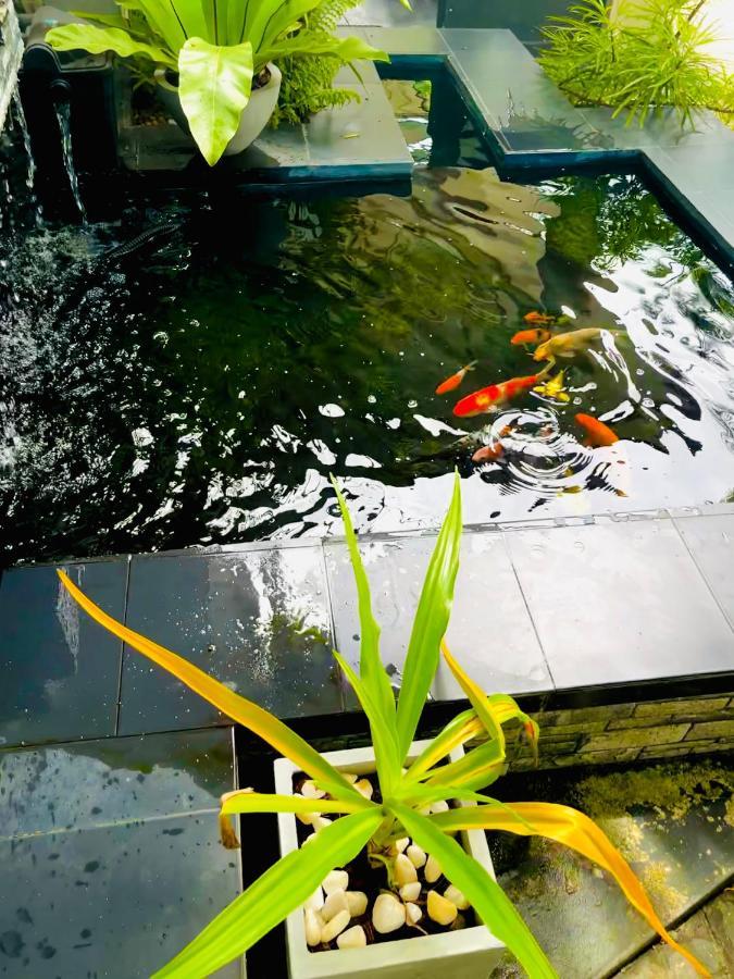 Travellers Halt Hotel Ratnapura Exterior photo